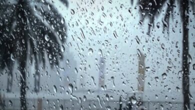 زخات مطرية قوية الخميس بعدد من مناطق المملكة - ALMASSAA ALYOUM المساء اليوم