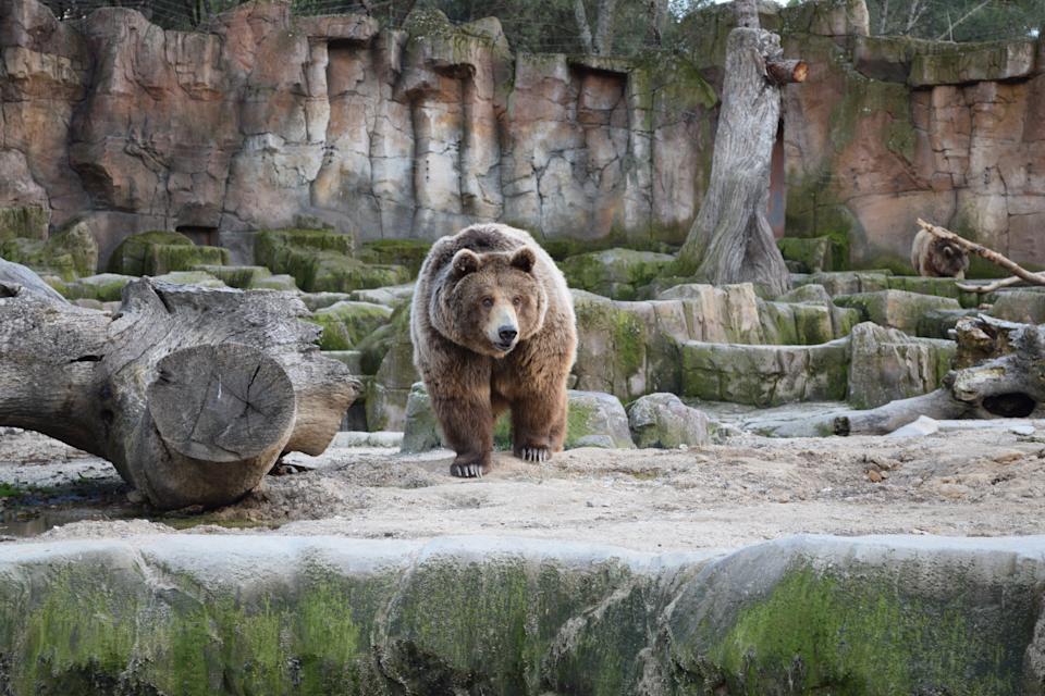 ours 1