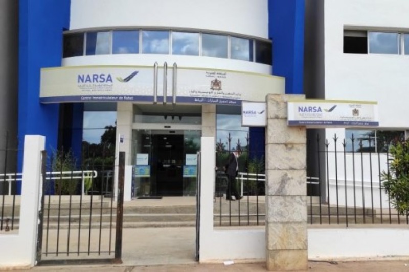 NARSA 1 1