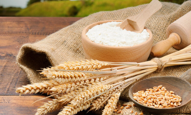 بعد انخفاض إنتاج الحبوب بـ67% فـي 2022.. توقعـات باستيراد 5 ملايين طن من القمح اللين في 2023 - ALMASSAA ALYOUM المساء اليوم