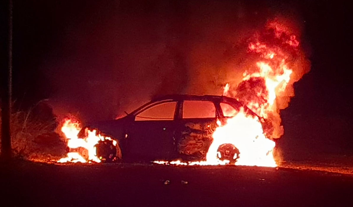 narsayara 1613724928 2