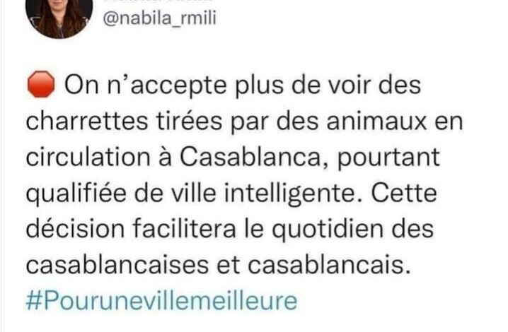 عمدة الدار البيضاء غبية أم متعجرفة..؟ خاطبت أصحاب العربات المجرورة بالفرنسية.. على تويتر..! - ALMASSAA ALYOUM المساء اليوم عمدة الدار البيضاء غبية أم متعجرفة..؟ خاطبت أصحاب العربات المجرورة بالفرنسية.. على تويتر..! - ALMASSAA ALYOUM المساء اليوم