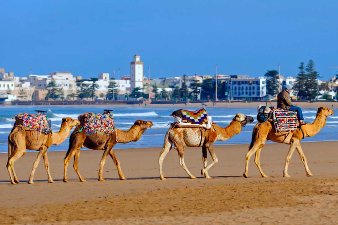 Visitar Marruecos y su costa 1