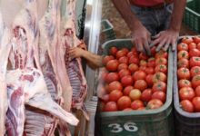 الحكومة تُعلل أسعار اللحوم والطماطم بالجفاف ونقص الإنتاج: الأسعار ستعود إلى طبيعتها - ALMASSAA ALYOUM المساء اليوم
