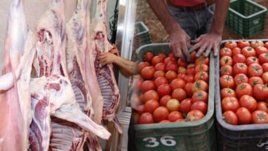 الحكومة تُعلل أسعار اللحوم والطماطم بالجفاف ونقص الإنتاج: الأسعار ستعود إلى طبيعتها - ALMASSAA ALYOUM المساء اليوم