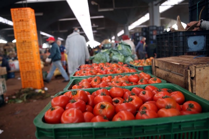 tomates1 1