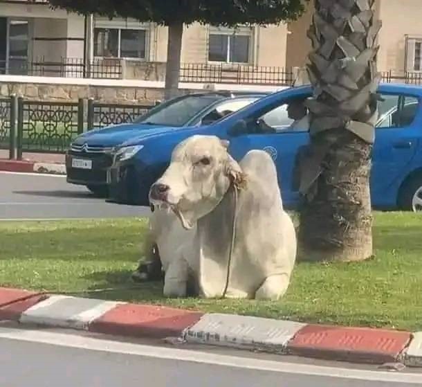 5687 1