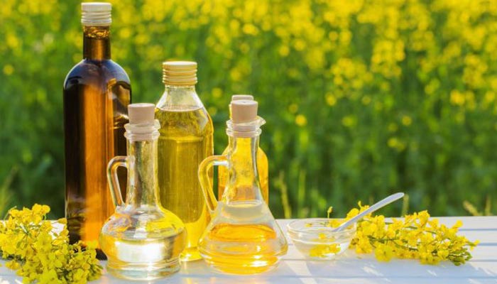 الجفاف والارتفاع المستمر لأسعار المواد الأولية.. خطة حكومية لزيادة إنتاج الزيوت