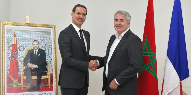 falcon capital dakhla hdf