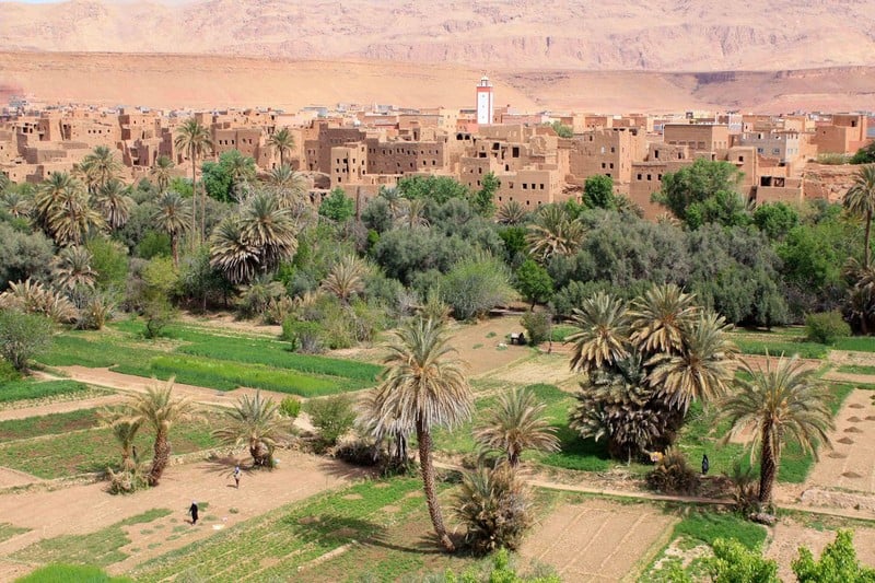region tafilalt sechresse1