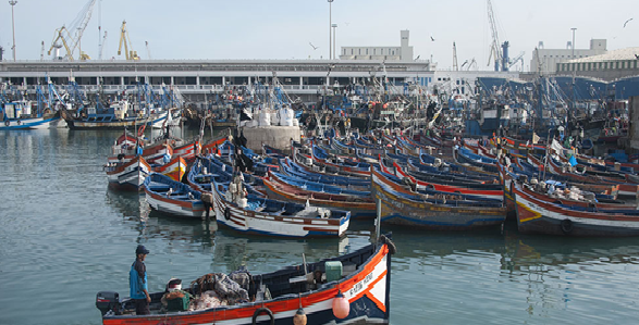 القنيطرة