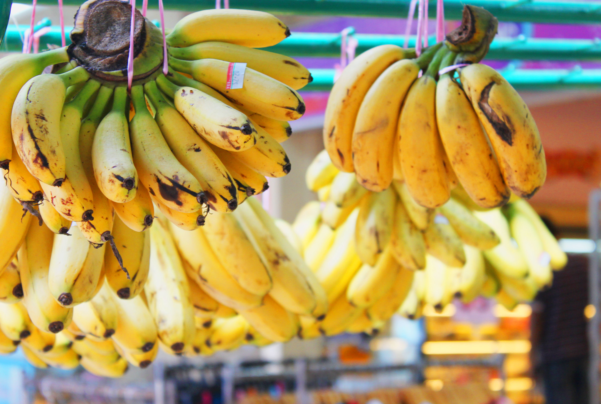 4085019448 d2132c99df k