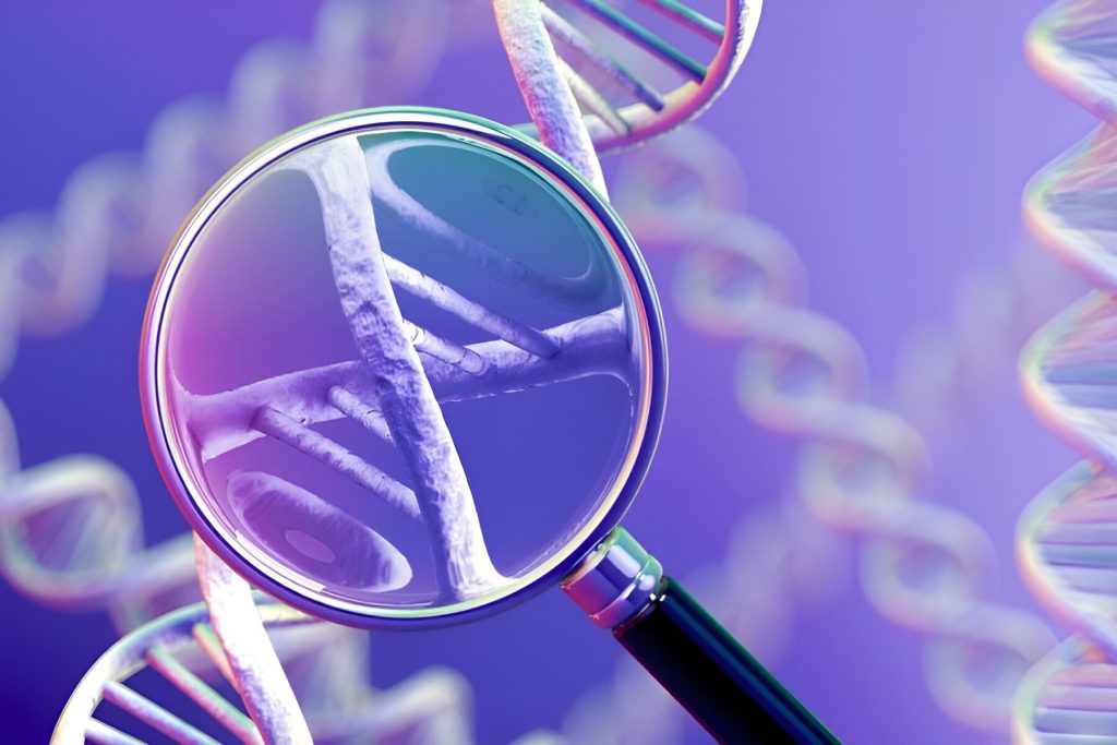 الدقي 1024x683 1