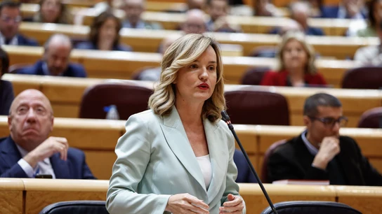 ministra educacion pilar alegria sesion control gobierno 160