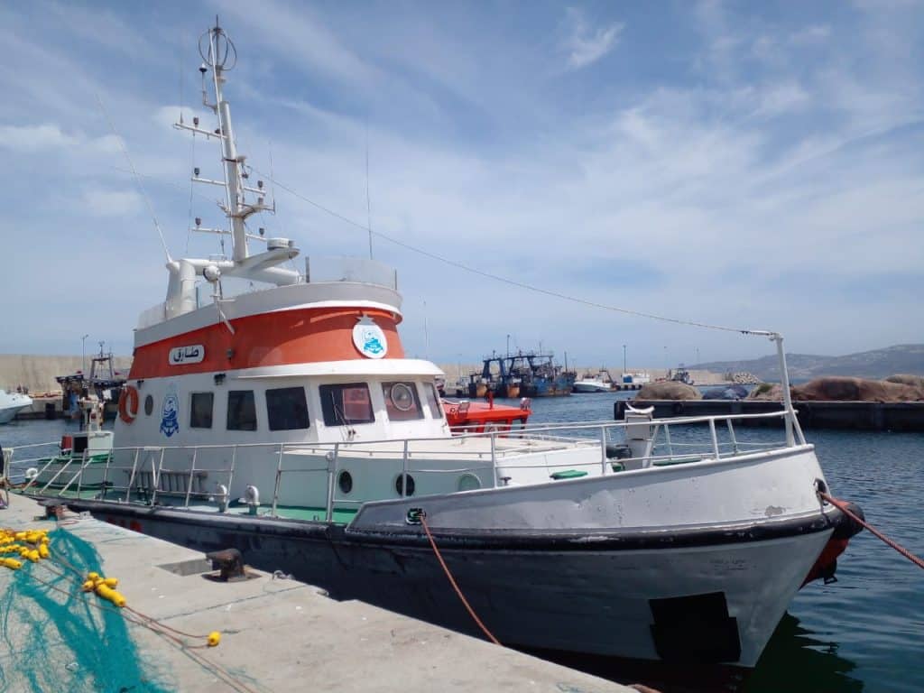 IMG 20251009 WA0030