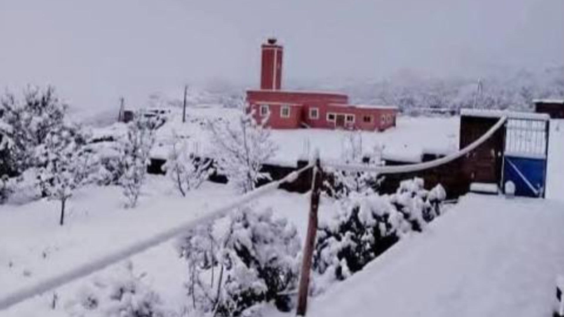 InShot 20260117 183244420