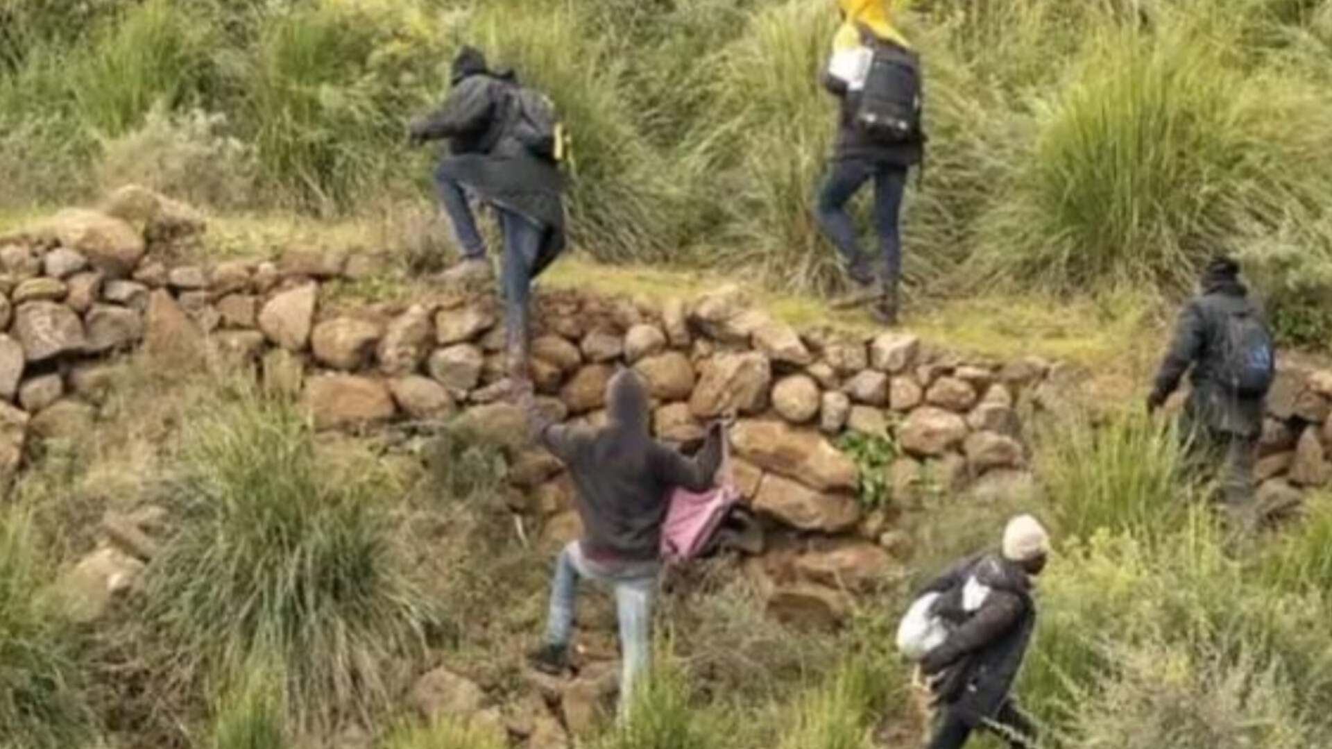 InShot 20260219 162044898