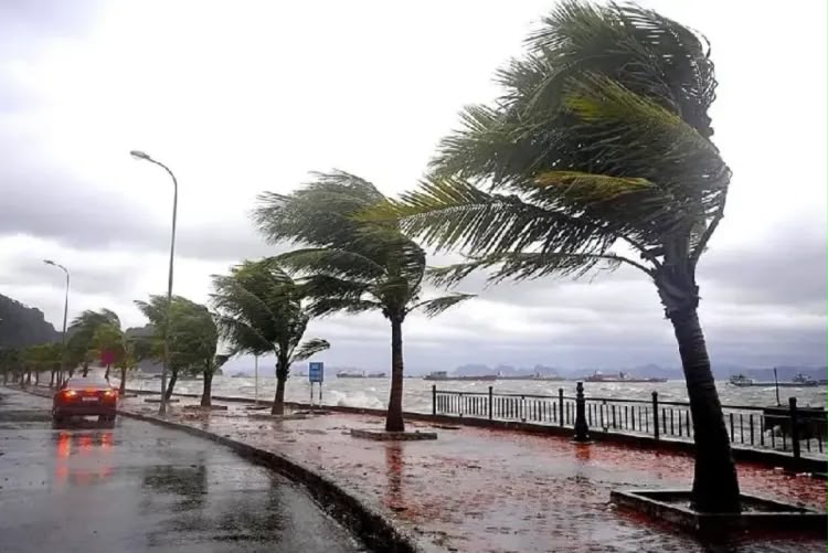 نشرة إنذارية: زخات رعدية محليا قوية مع تساقط البرَد بعدد من مناطق المملكة